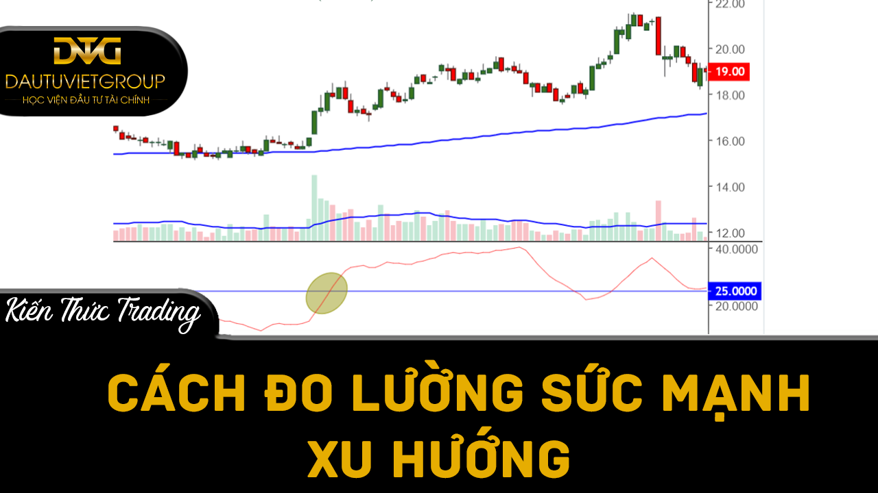 Cách đo lường sức mạnh của một xu hướng trong forex