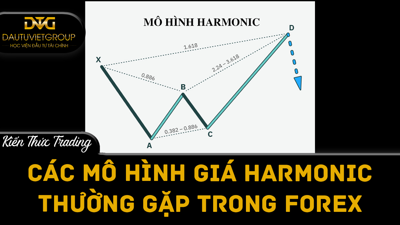 Các mô hình giá Harmonic quan trọng thường gặp trong forex