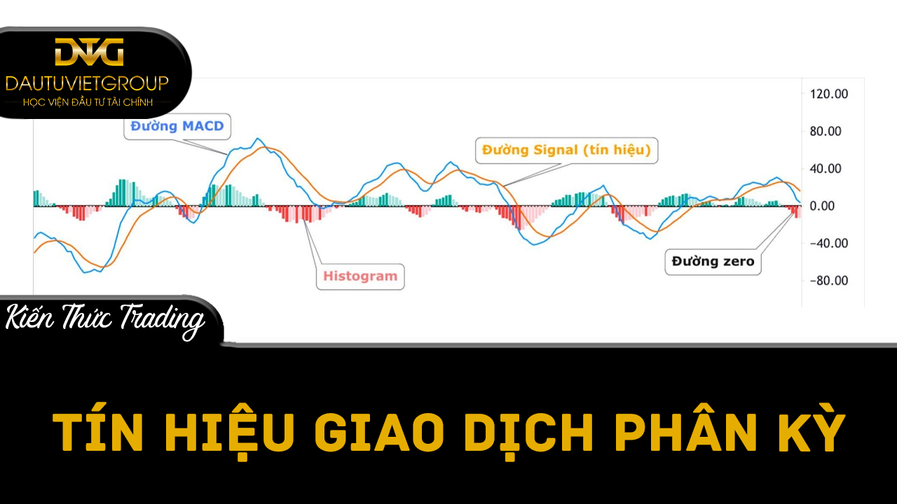 Tín hiệu phân kỳ trong Forex là gì?