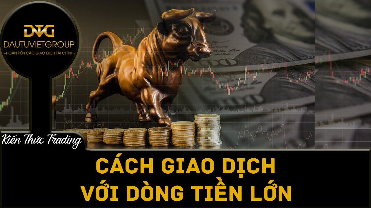 Cách giao dịch với Dòng tiền lớn