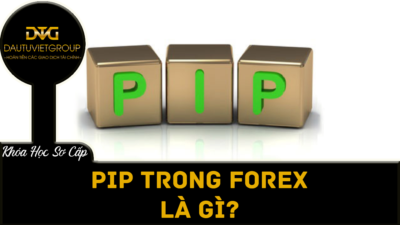 Pip trong Forex là gì?