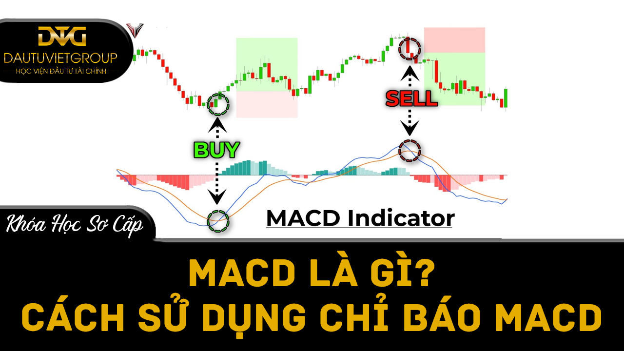 MACD là gì? Cách sử dụng chỉ báo MACD hiệu quả trong đầu tư