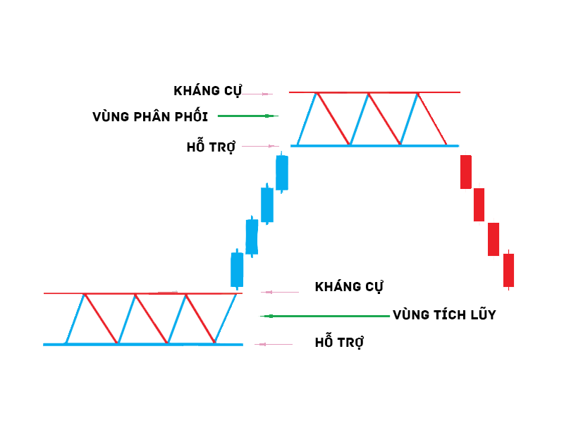 Những yếu tố ảnh hưởng đến giá và thị trường