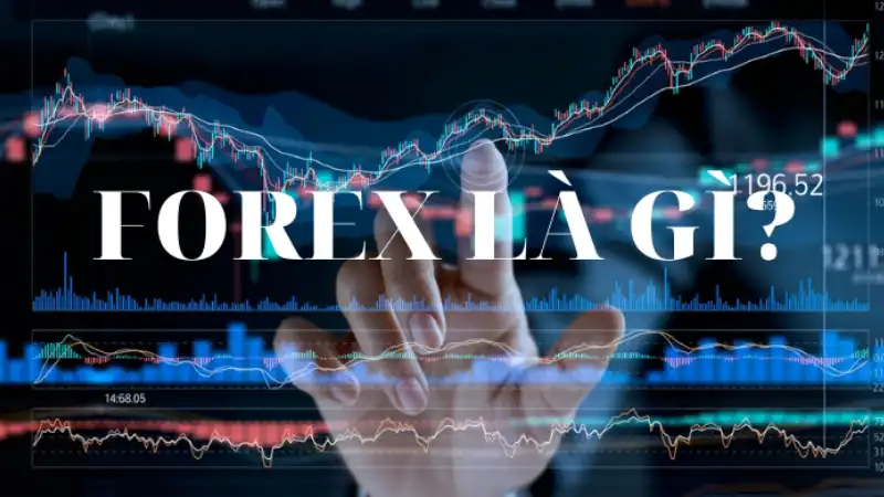 Sàn giao dịch Forex lừa đảo