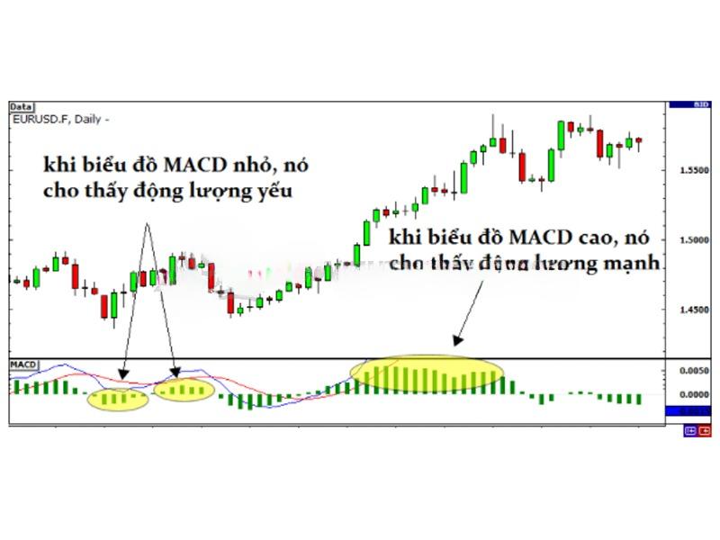 Đo lường sức mạnh của xu hướng với MACD