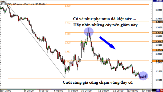 cach su dung fibonacci de dat diem dung lo de han che thua lo 4056 10