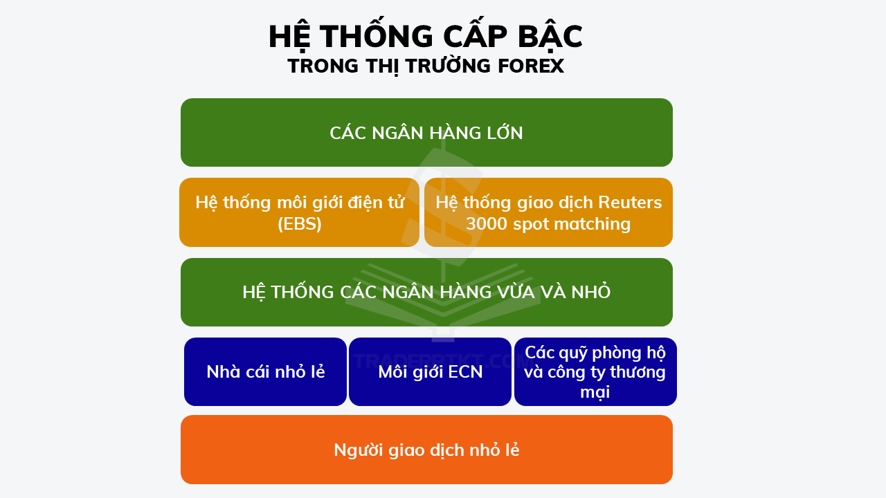 Hệ thống cấp bậc trong thị trường Forex