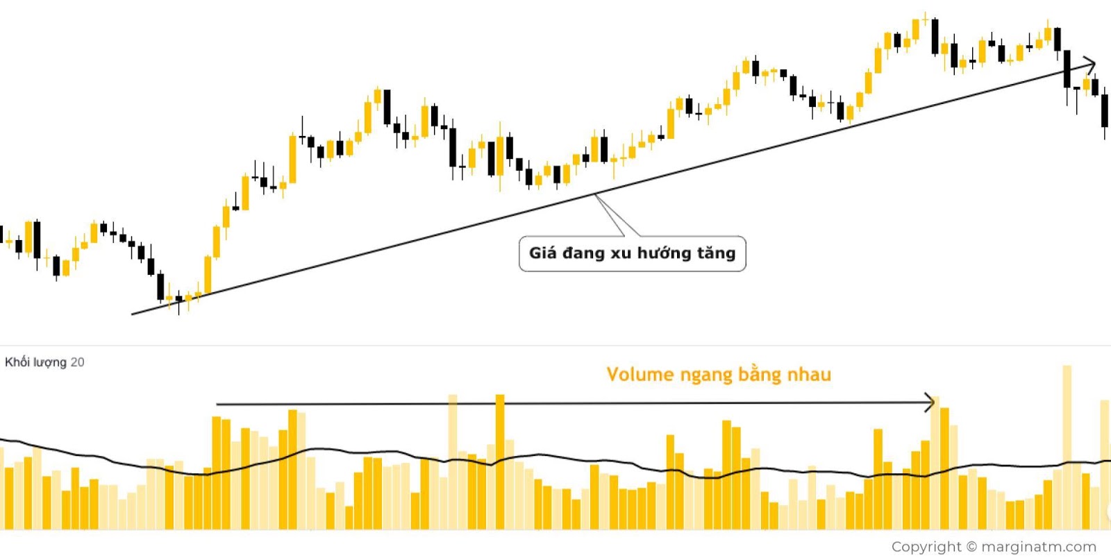 Chỉ Báo Volume Là Gì? 4 Cách Sử Dụng Chỉ Báo Volume Trong Crypto