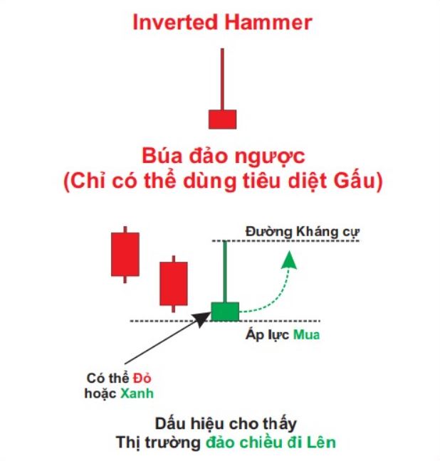 nen nhat la gi tong hop cac mo hinh nen nhat pho bien nhat 3002 43