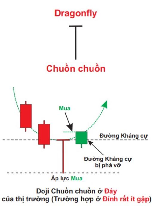 nen nhat la gi tong hop cac mo hinh nen nhat pho bien nhat 3002 49