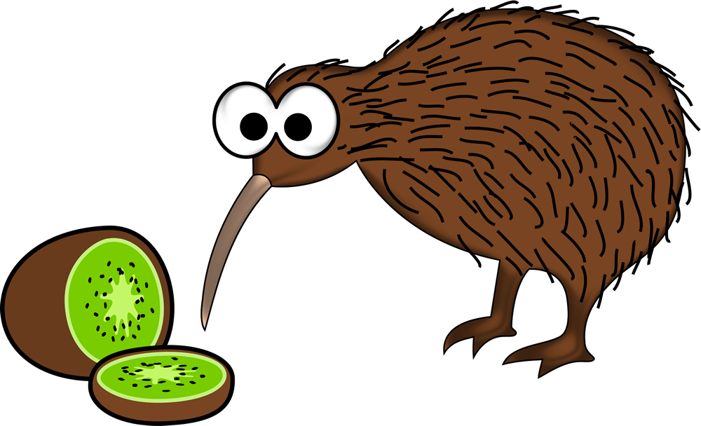 Kiwi New Zealand