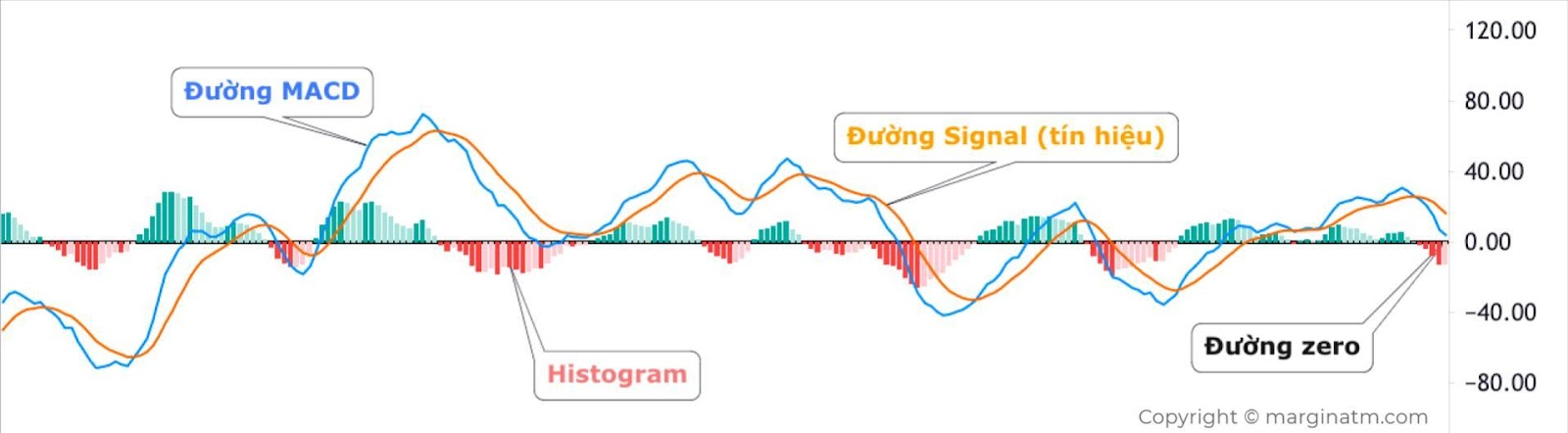 cấu tạo macd