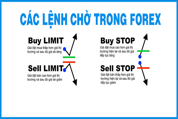 cac-thuat-ngu-trong-forex-finpedia