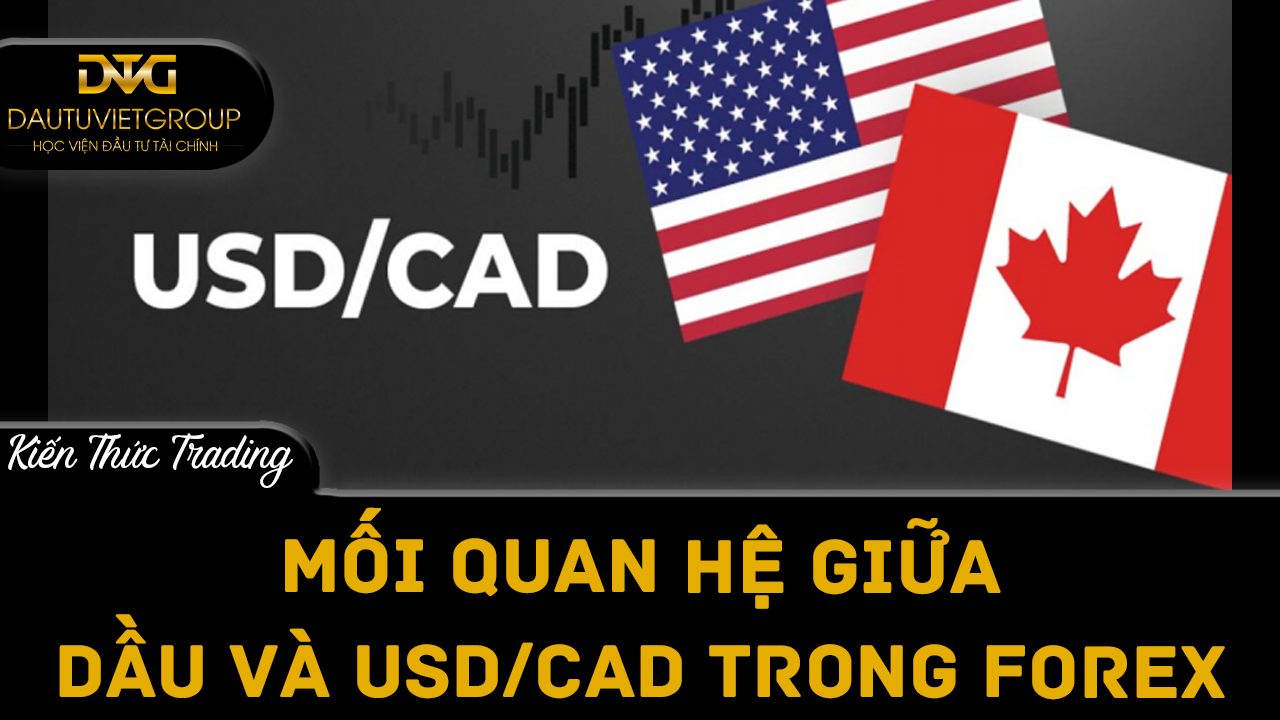 Mối quan hệ giữa dầu và USD/CAD trong thị trường ngoại hối