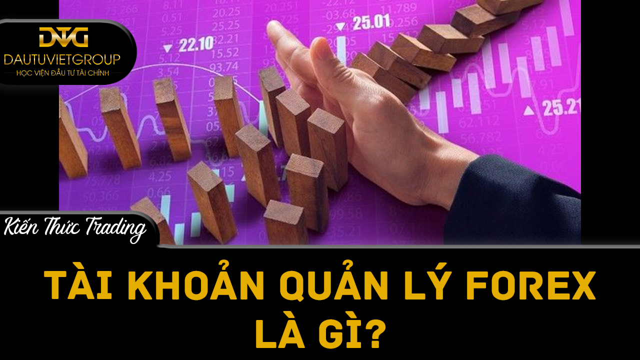 Tìm hiểu tài khoản quản lý Forex là gì?