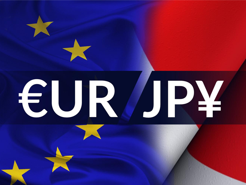 Đổi đồng tiền châu Âu EUR sang ngoại tệ JPY